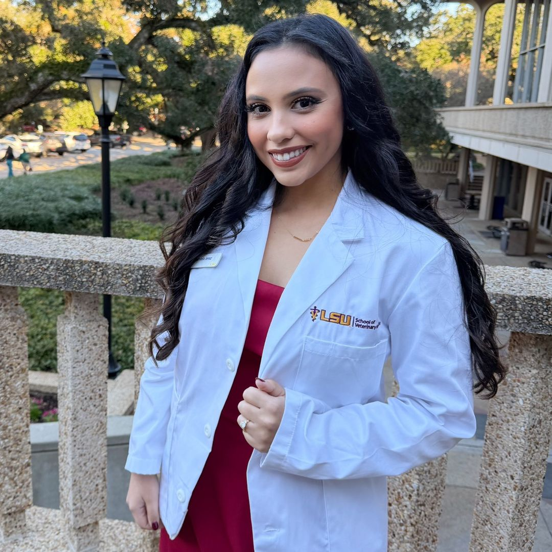 gaby | vet student🩺